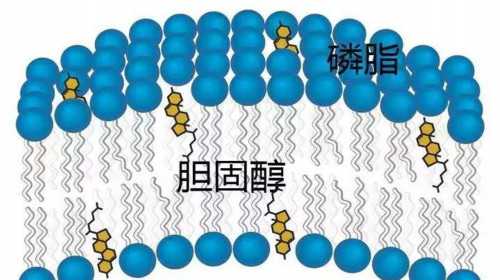 上海代孕价钱表,上海供卵试管婴儿包男孩