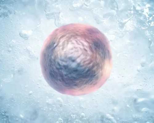 上海艾滋病找代孕,上海生子包生儿子价格明细？能包成功吗？