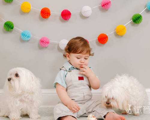 三代试管推荐上海天使助孕,上海天使助孕快