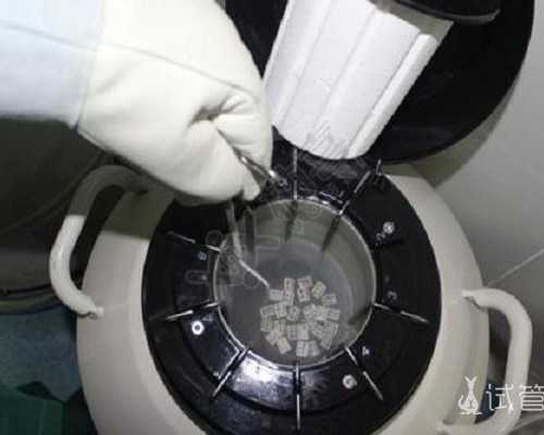 上海供卵产子中心,上海集爱医院试管成功率多少？2024年试管医院攻略