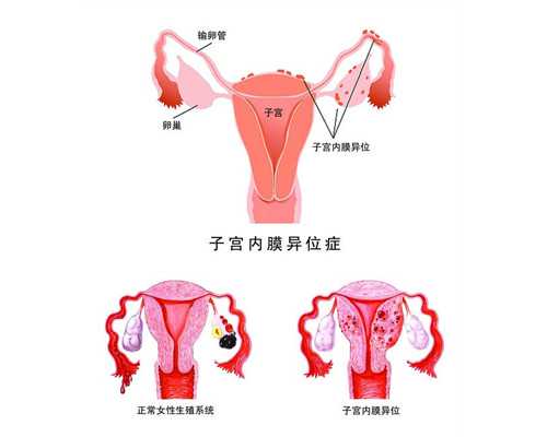 上海供卵联系首到坤和助孕,上海坤和助孕中心官