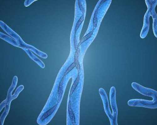 上海代生供卵费用,2023上海中山医院试管成功率预估上海中山医院生殖科医生介