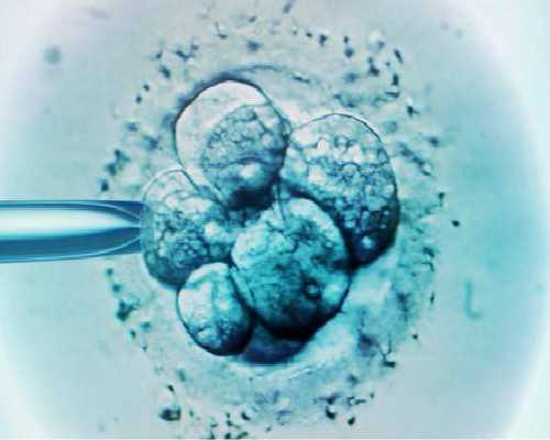 上海有好的代孕公司吗,上海集爱医院试管成功率怎么样？