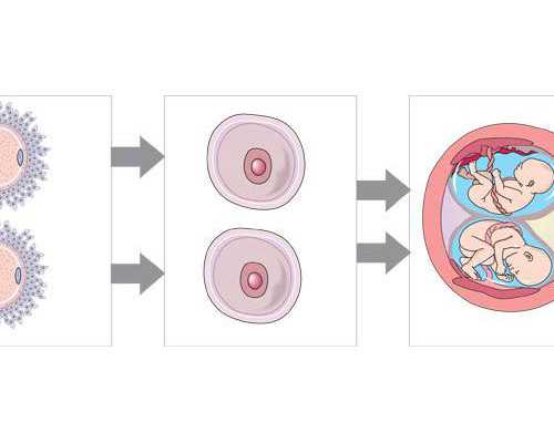 上海做试管婴儿最好的医院17lp