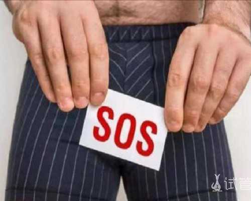 涨见识！这几种陆龟谁养过？