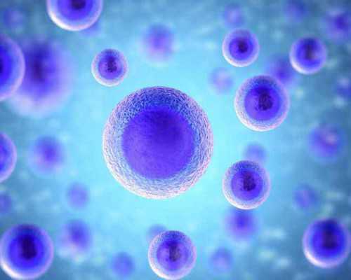 上海代怀免费咨询,到俄罗斯做试管婴儿第三代多少钱(上海九院第三代试管大概