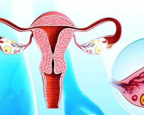 上海代孕生子公司,上海做试管哪部确认性别-正规试管医院