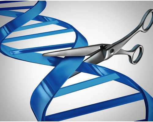 上海有代生妈妈吗,上海的日本试管婴儿中介，日本试管婴儿价格