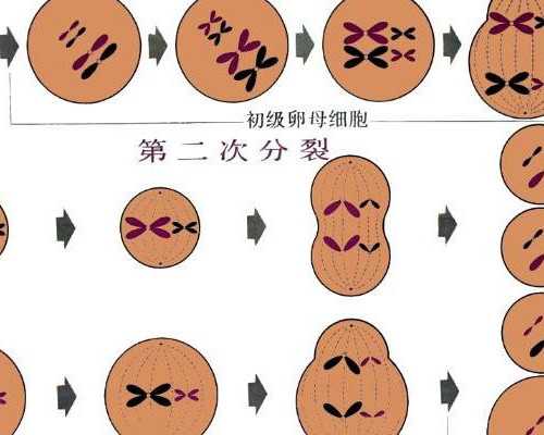 上怀和下怀的决定性因素