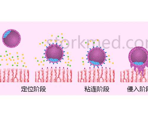 上海试管婴儿什么时候开始促排？