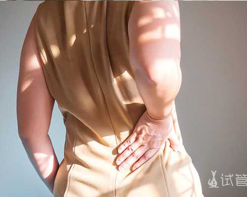 上海代生的流程,上海永远幸医院试管选性别？助孕费用及其流程