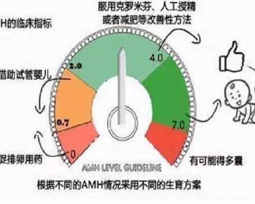 上海代生价格,上海明珠医院介绍中医教你吃什么食物能够滋养五脏