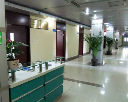 上海代怀孕价格,月经不调患者吃什么食物？上海明珠医院