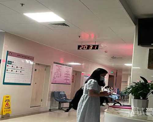上海试管供卵医院在哪