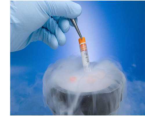 温柔淑女怎么养成好的性格