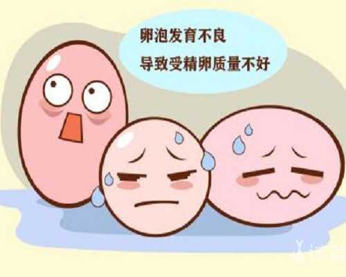 上海包生男孩代怀网,上海试管婴儿排名第一免费咨询？你需要了解这些！