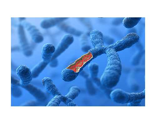 上海试管代怀资讯,「专享」上海想生儿子可以做试管婴儿吗