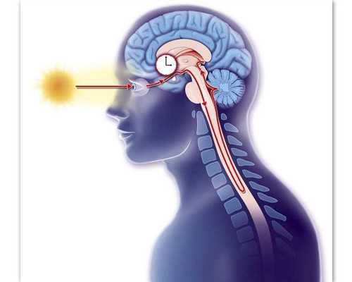 上海代怀医院孕妈,子宫内膜异位症吃什么好呢？上海明珠医院