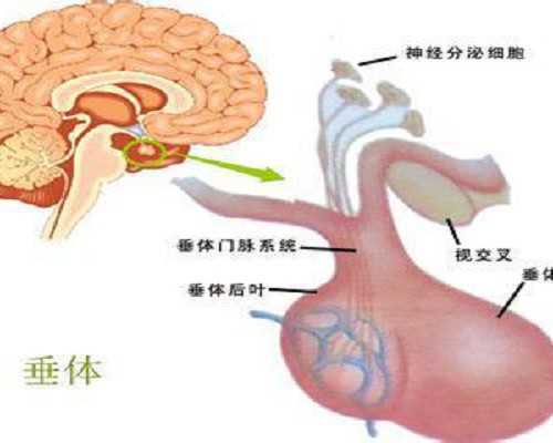 上海试管代孕哪家最好,上海母婴做供卵试管需要多长时间？成功率高吗？