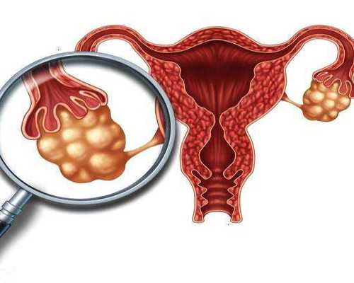 我国首位深入南极腹地考察的女科学家