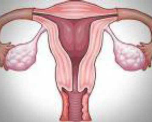 上海供卵代生技术,上海仁济试管成功率及费用多少？上海仁济试管怎么样？