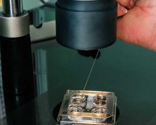 大赛 - 名单揭晓！祝贺入围“南山智尚杯”2023中国职业装设计大赛