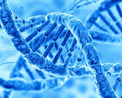 上海做试管婴儿最好的医院17lr