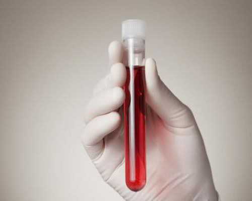 任高飞： 严守政治纪律和规矩 打造政法铁军 推动扫黑除恶专项斗争向纵深推进