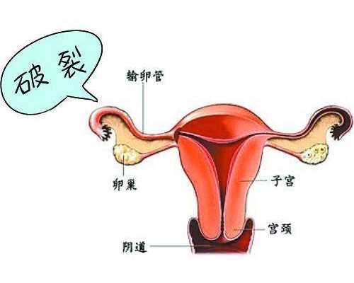 上海代怀中心正规吗,上海长征三代试管能选性别生男女吗上海长征三代供卵试