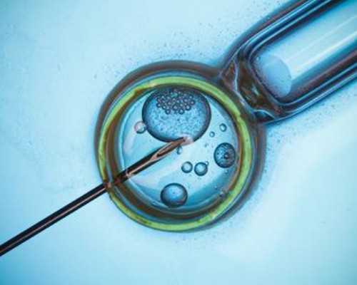 上海代孕试管医院,上海三代试管生儿子费用大概多少钱