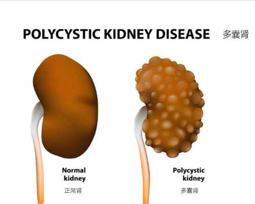上海合法代怀网,，爆炸新闻上海试管公司-上海供卵试管医院有哪些-上海供卵试