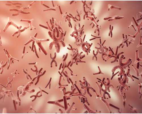 上海全国供卵快医院,除了瑞金医院、仁济医院外，上海的试管医院还有哪些？