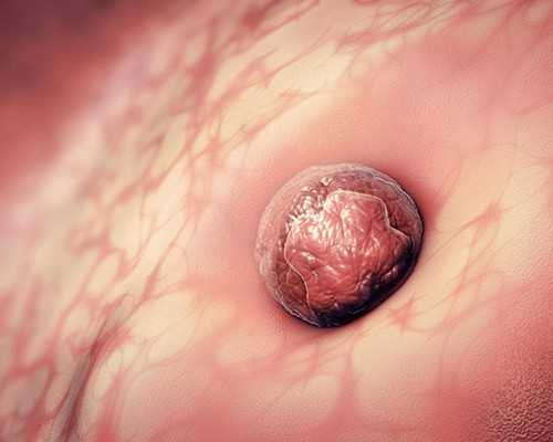 黑人扮演伊丽莎白一世母亲，吻戏船戏不断，你会看这英剧吗？