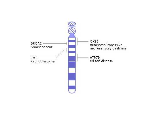 上海代生求子,在上海哪里有做供卵的私人机构？