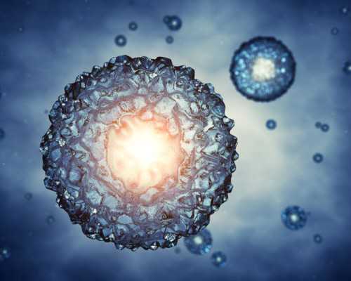 上海供卵助孕套餐,上海九医院和集爱医院做试管哪个好些？(上海第一妇婴试管