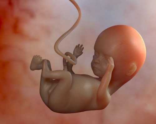 上海试管婴儿的收费标准是多少上海做试管最好的医院是哪家