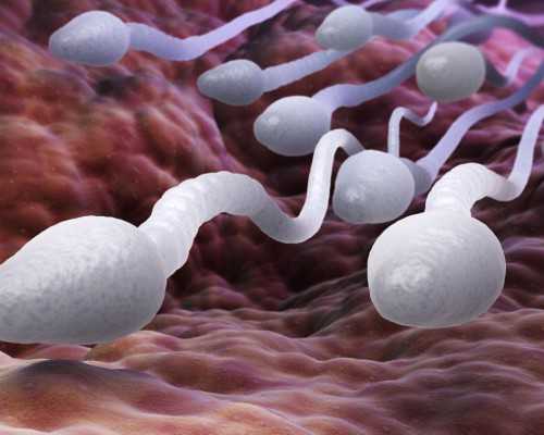 蛋白质变性的应用价值