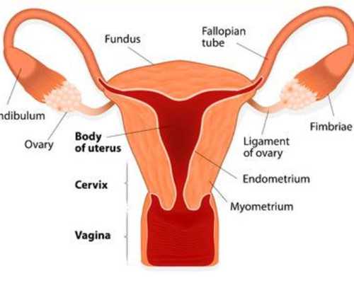 上海供卵三代试管,做试管婴儿的适应症和禁忌症？伤害身体么？-上海正规供卵