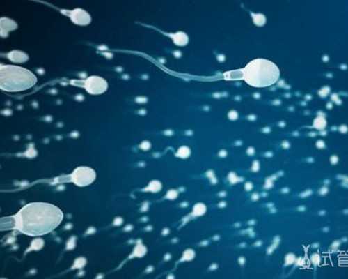 上海正规借卵机构,上海仁济医院能做三代试管婴儿吗？助孕成功率高吗?_上海供