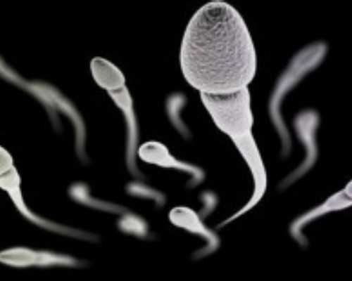 上海找一个代孕网,孝感能做“赠卵”试管婴儿吗？国内合法这些医院就能做_上