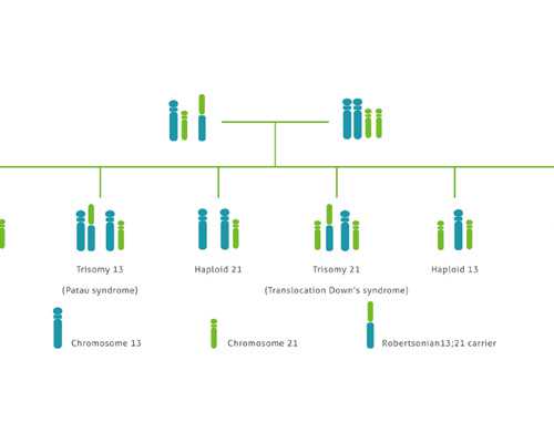 上海借卵生子单身,2024上海三代试管婴儿生儿子费用曝光，附全过程具体花费