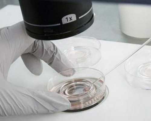 保险合同“猫腻”之格式条款问题研究