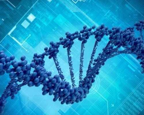 精子反常率高的原因是什么？男性不育能够做试管婴儿吗？