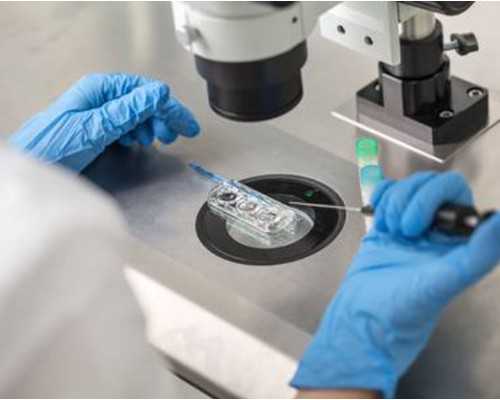 中国造船这么强，到底经历了什么？