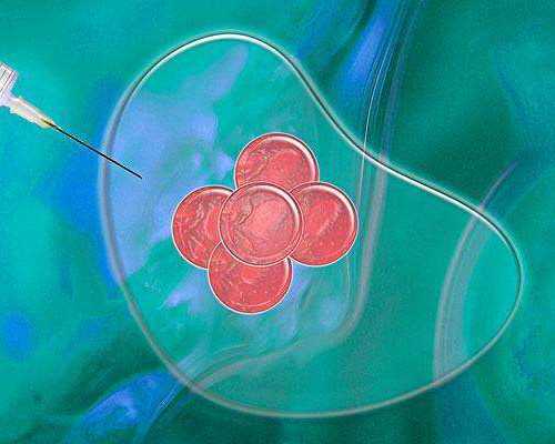 探索女性健康的科普好剧