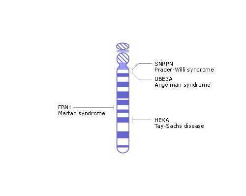 上海有代怀医院吗,美国同志辅助生育沙龙——1月13日北京、14日上海包成功专场