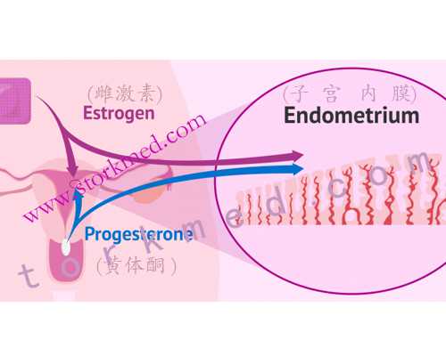 上海哪里代怀最好,做了试管婴儿可以正常上班吗？-上海供卵试管公司有哪些