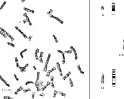 上海正规代生包成功,上海三代试管婴儿医院成功率排名？