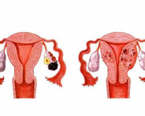 驻马店市八九十年代老照片