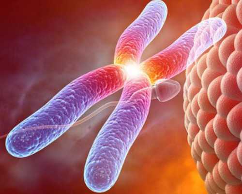 上海代怀宝宝价格,上海仁济做供卵试管需满足4大条件，卵源也得等待1~2年时间